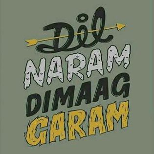 DIL NARAM DIMAGH GARAM🤯