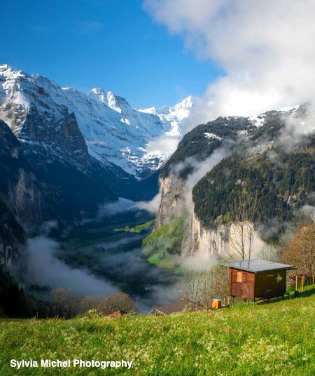 Beautiful Nature image