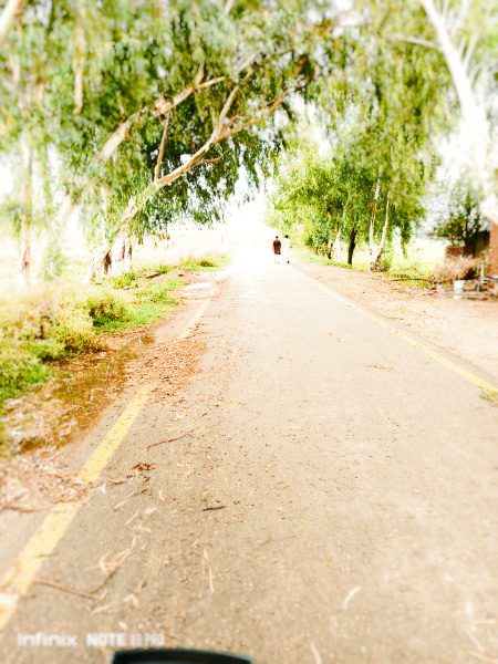 Beautiful Nature image