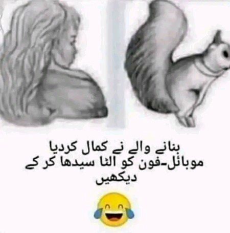 Memes & Satire image