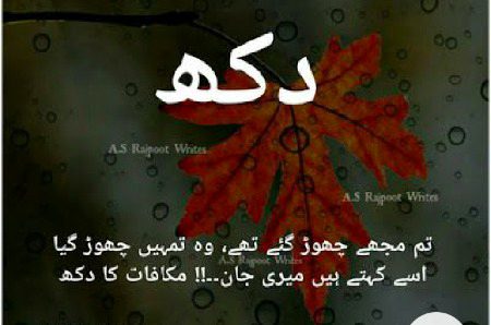 By noor aina