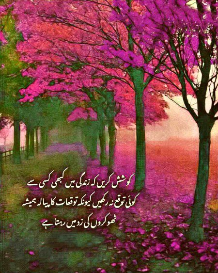 Motivational Quotes image