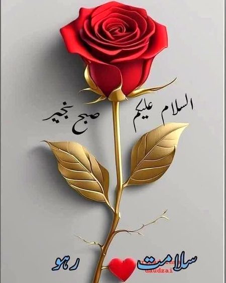 صبح بخیر 🌼🌷🌻🌻