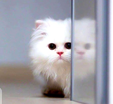 Beautiful Nature image