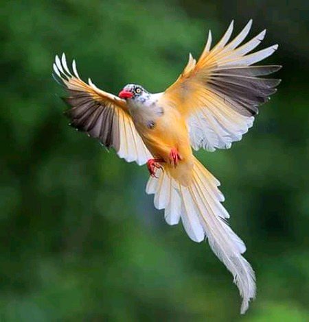 Beautiful Nature image