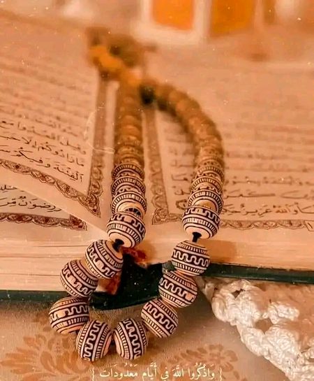 "_اطمینان رکھیں! آپ کی قسمت کا لکھا آپ سے کوئی نہیں چھین سکتا ، کیونکہ آپ کے ربّ نے لوگوں کو مقـدر تک رسائی نہیں دی 💜🥀