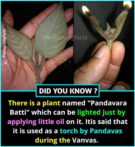 Interesting Posts image