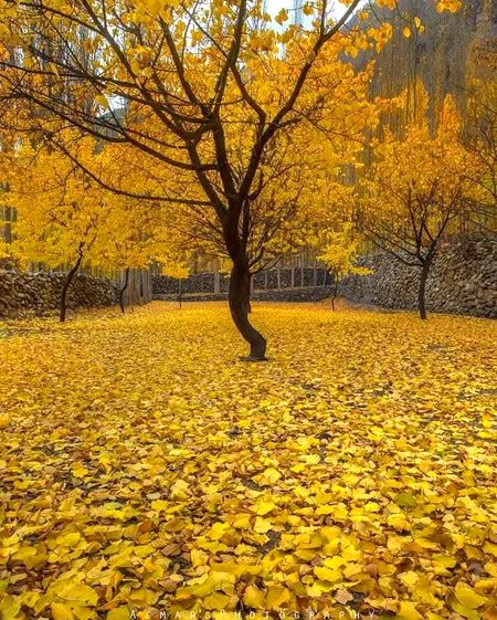Beautiful Nature image
