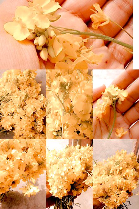 Beautiful Nature image