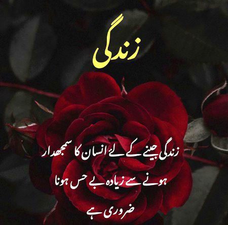 کم ضرف نہیں سمجھ پاتے ٠٠٠٠میری زات بھی میری بات بھی