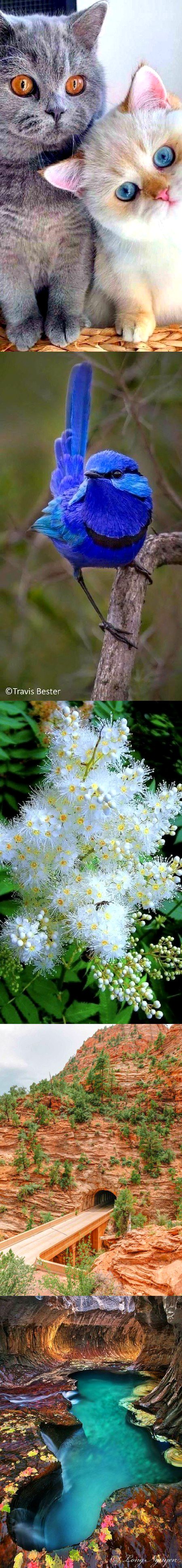 Beautiful Nature image