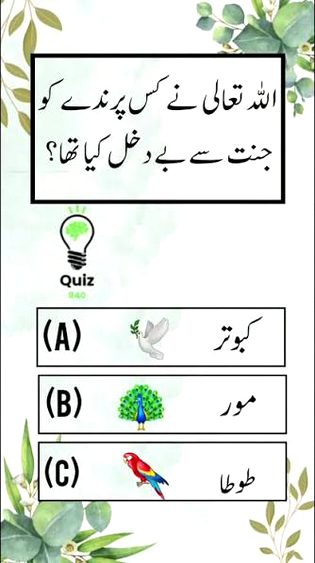 Knowledge Test image
