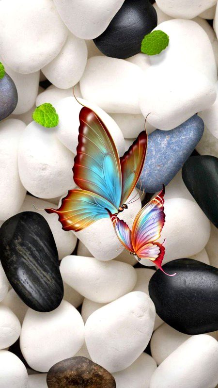 Beautiful Nature image