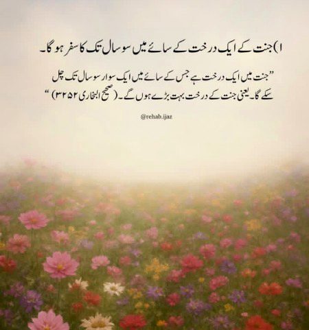 Jannat ka safar🌺🌺