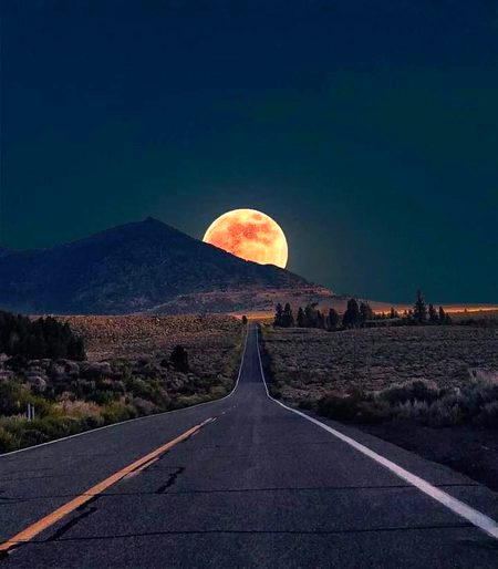 Beautiful Nature image