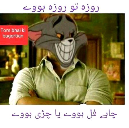 Memes & Satire image