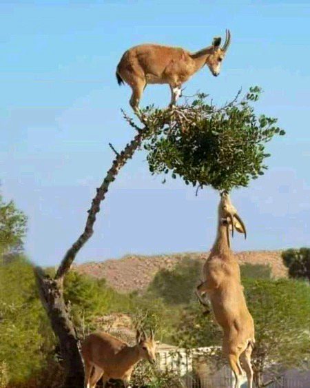 ہیں لوگ وہی جہاں میں اچھے
آتے ہیں جو کام دوسروں کے