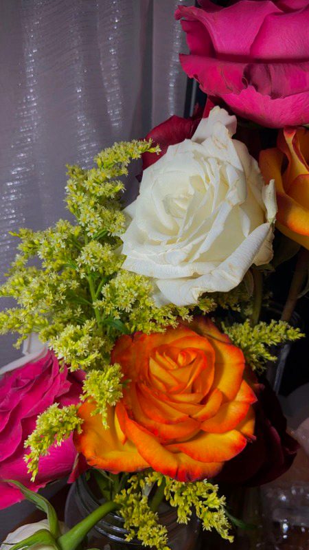 Beautiful Nature image