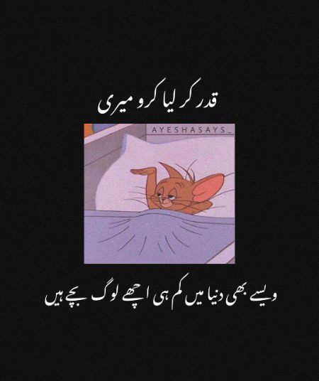 Memes & Satire image