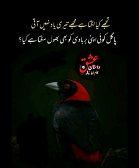 Sad Poetry image