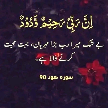 Islamic Quotes image