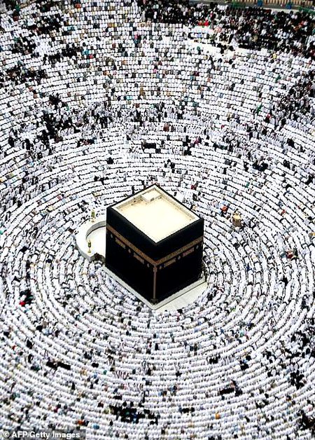 Beautiful Structures image