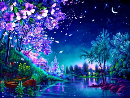 Beautiful Nature image