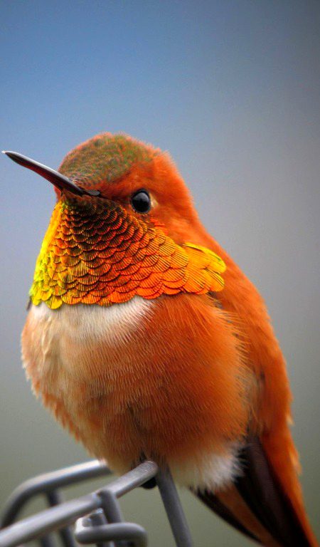 Beautiful Nature image