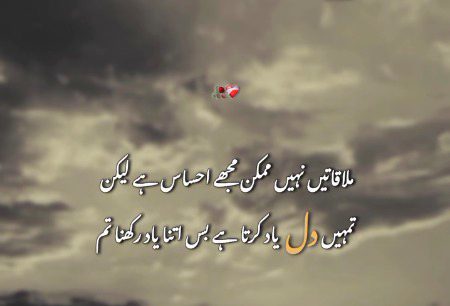 Silent 🤐 Life 🧬