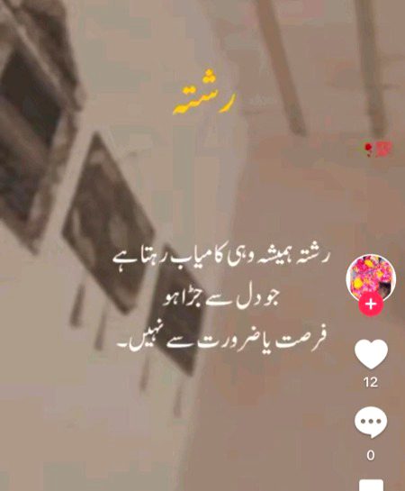 Bilkul