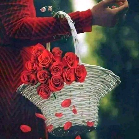 Beautiful Nature image