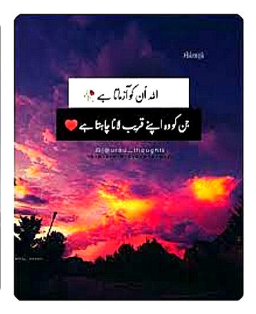 Islamic Quotes image