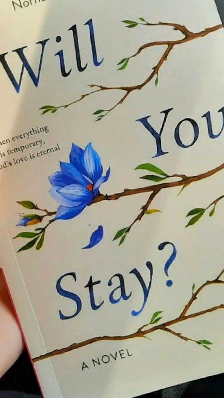 Romantic Novels image