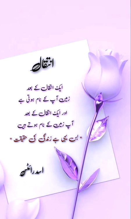 No Caption 🌺🌺🌺