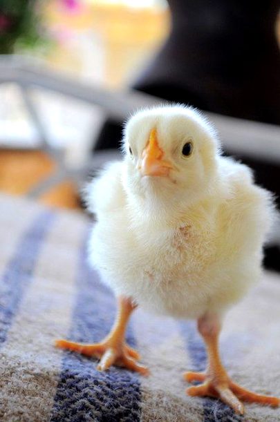 Beautiful Nature image