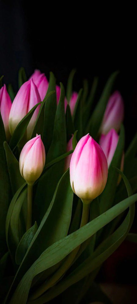 Beautiful Nature image