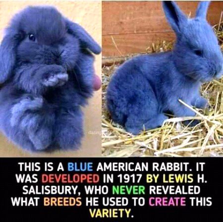 Veracious😍