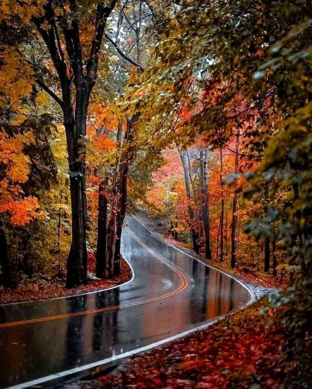 Beautiful Nature image