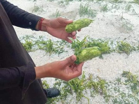 Beautiful Nature image