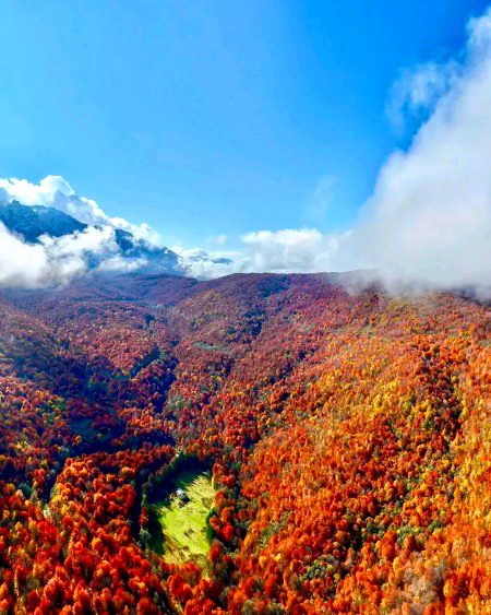 Beautiful Nature image