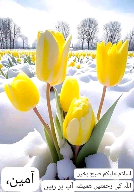 Beautiful Nature image