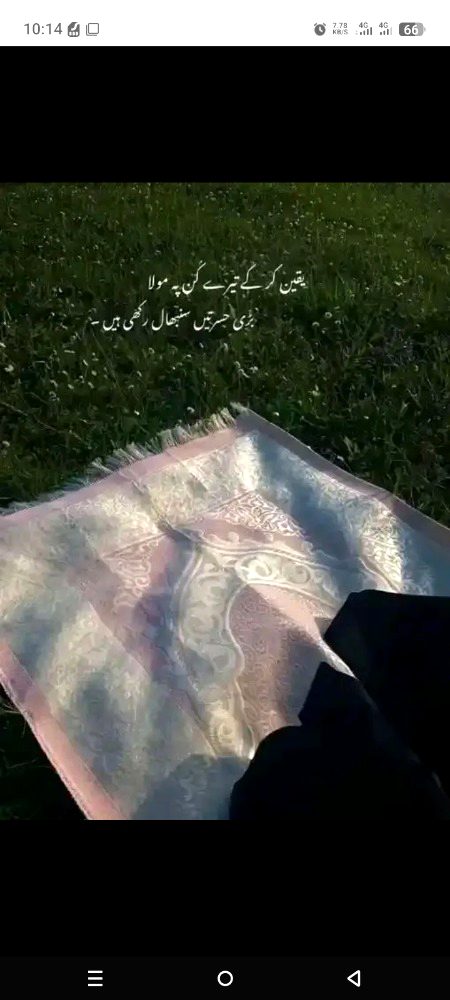 ✨✨✨🫀🫀.g3