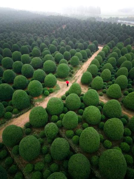 Beautiful Nature image