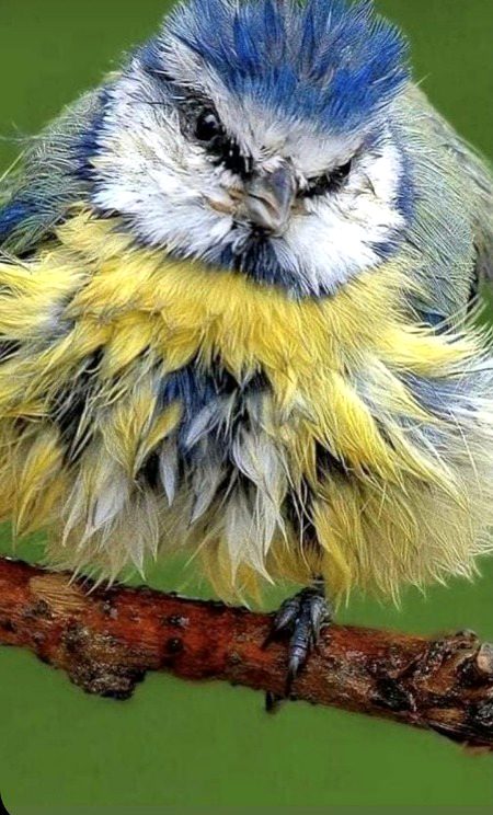 Beautiful Nature image