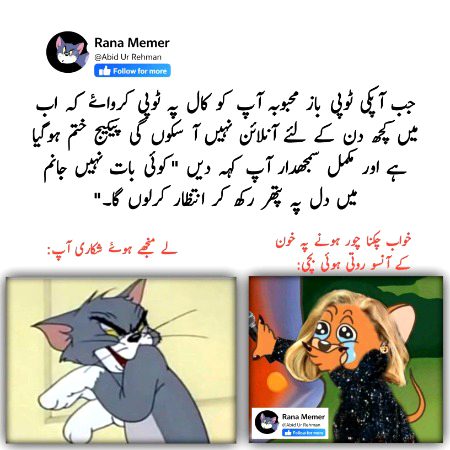 Memes & Satire image