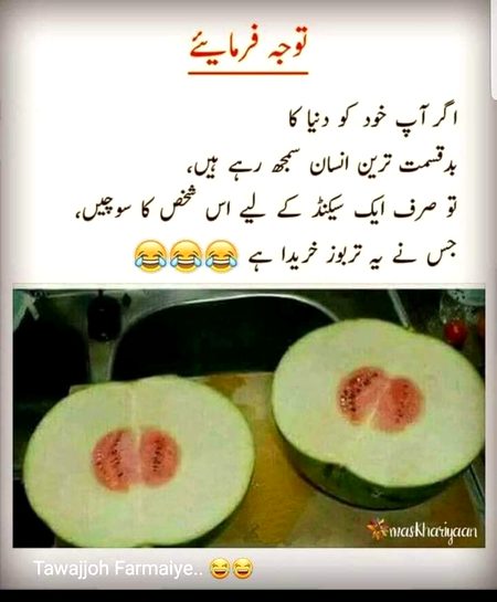 Memes & Satire image