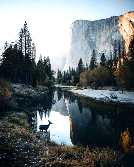 Beautiful Nature image