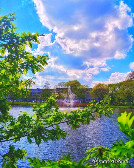 Beautiful Nature image