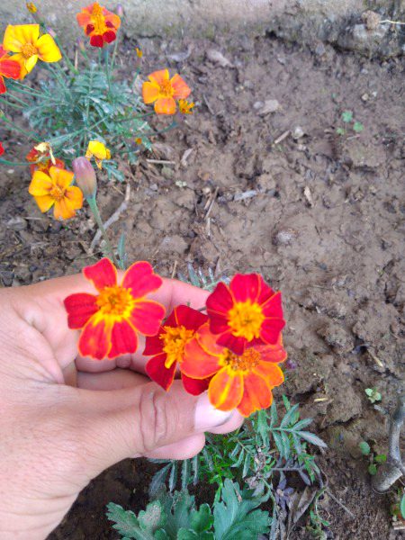 4 my frndzzz🥀🙃
 ZaRRaaR💔🥀