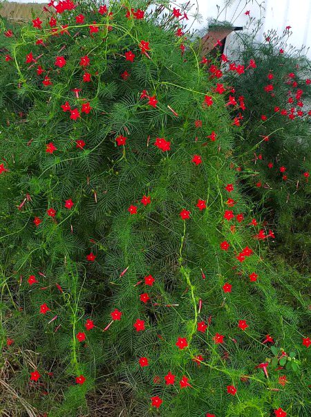 Beautiful Nature image